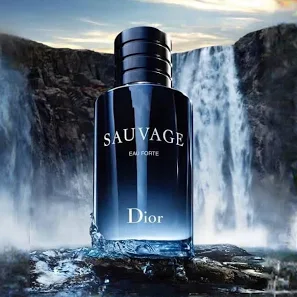 Dior Sauvage Eau Forte